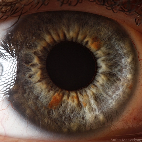 Human Eye