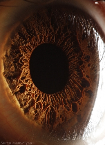 Human Eye